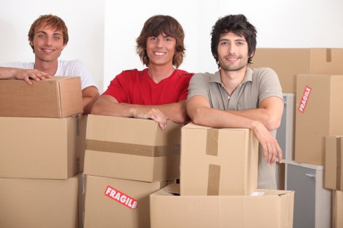 Packing and furniture transport for a Bow relocation